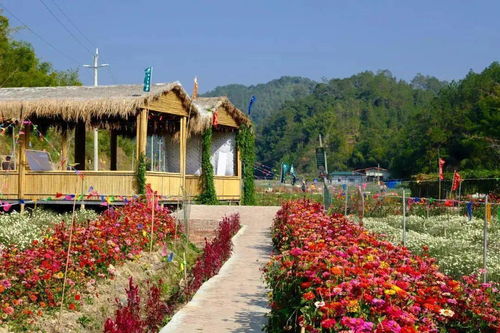 省級示范,高要這2個(gè)地方上榜