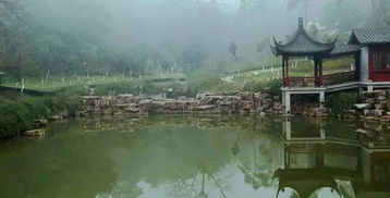 八條旅游精品線路 帶你漫步林間溪水