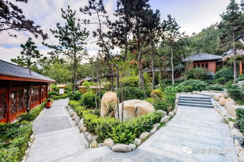 探索山西晉中的云泉谷景區,天然氧吧與刺激體驗