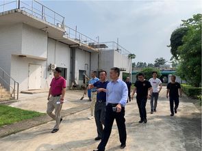 探秘九龍?zhí)渡鷳B(tài)園 東莞城市生態(tài)明珠