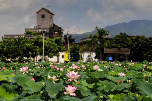 快看！博羅九龍潭生態園入選惠州市第二批鄉村旅游精品線路
