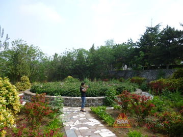 綠色生態園典范——探秘九龍潭生態園的自然與人文之美